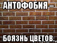 антофобия – боязнь цветов.