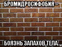 бромидросифобия – боязнь запахов тела.