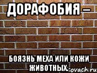 дорафобия – боязнь меха или кожи животных.