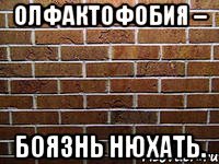 олфактофобия – боязнь нюхать.