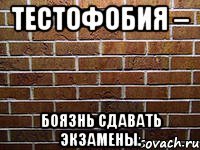 тестофобия – боязнь сдавать экзамены.
