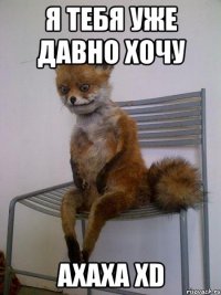 я тебя уже давно хочу ахаха xd