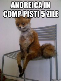 andreica in comp pisti 5 zile 