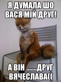 я думала шо вася мій друг! а він .......друг Вячеслава((