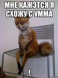 МНЕ КАЖЭТСЯ Я СХОЖУ С УММА .!,