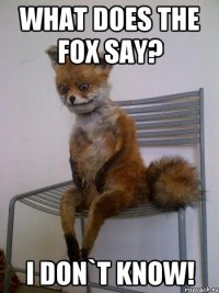 What does the fox say? I don`t know!