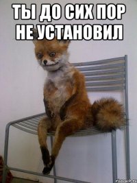 ты до сих пор не установил 