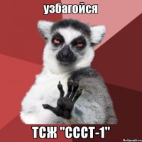  тсж "ссст-1"