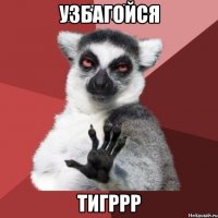 Узбагойся ТИГРРР