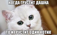 Когда грустит Дашка То и грустит один котик