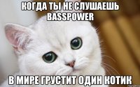 Когда ты не слушаешь BassPower В мире грустит один котик