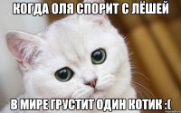 Когда Оля спорит с Лёшей В мире грустит один котик :(