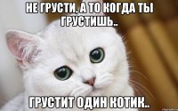 Не грусти, а то когда ты грустишь.. грустит один котик..