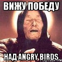 вижу победу над angry birds