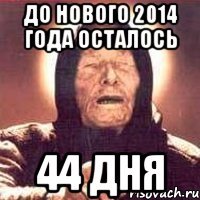 До Нового 2014 года осталось 44 дня