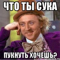 Что ты сука Пукнуть хочешь?