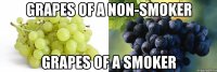 grapes of a non-smoker grapes of a smoker