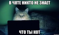 в чяте никто не знает что ты кот