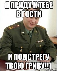 Я ПРИДУ К ТЕБЕ В ГОСТИ И ПОДСТРЕГУ ТВОЮ ГРИВУ!!1