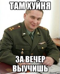 там хуйня за вечер выучишь