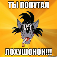 ты попутал лохушонок!!!