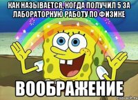 Как называется, когда получил 5 за лабораторную работу по физике ВООБРАЖЕНИЕ