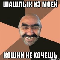 шашлык из моей кошки не хочешь