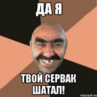 да я твой сервак шатал!
