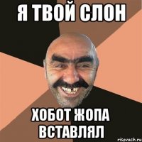 я твой слон хобот жопа вставлял