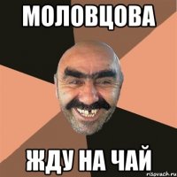 моловцова жду на чай
