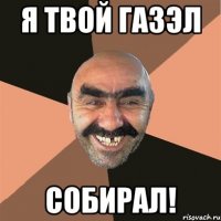 Я ТВОЙ ГАЗЭЛ СОБИРАЛ!