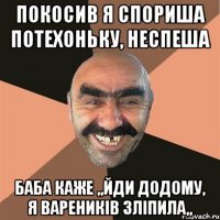 Покосив я спориша потехоньку, неспеша Баба каже ,,йди додому, я вареників зліпила,,