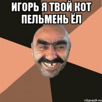 Игорь я твой кот пельмень ёл 