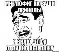 мне пофиг на ваши приколы я знаю, что я отлично выгляжу