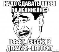 надо сдавать лабы по нелинейке? пффт...сессия в декабре - не горит