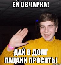Ей овчарка! Дай в долг пацани просять!