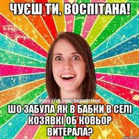 чуєш ти, воспітана! шо забула як в бабки в селі козявкі об ковьор витерала?