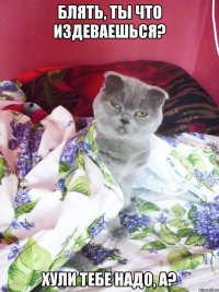 блять, ты что издеваешься? хули тебе надо, а?