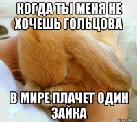 когда ты меня не хочешь гольцова в мире плачет один зайка