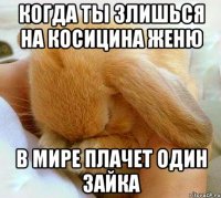 когда ты злишься на косицина женю в мире плачет один зайка