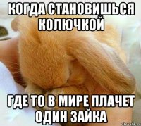 когда становишься колючкой где то в мире плачет один зайка