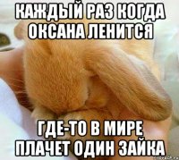 каждый раз когда оксана ленится где-то в мире плачет один зайка