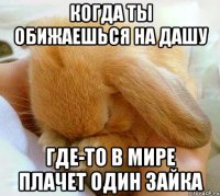 Когда ты обижаешься на Дашу Где-то в мире плачет один зайка