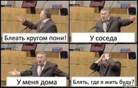 Блеать кругом пони! У соседа У меня дома Блять, где я жить буду?