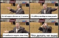 На той неделе обогнал на 10 касиков В субботу вообще в хлам разнёс Я заебался кидать этих птиц Что делать не знаю