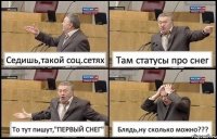 Седишь,такой соц.сетях Там статусы про снег То тут пишут,"ПЕРВЫЙ СНЕГ" Блядь,ну сколько можно???