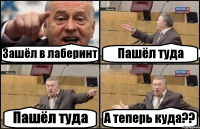Зашёл в лаберинт Пашёл туда Пашёл туда А теперь куда??