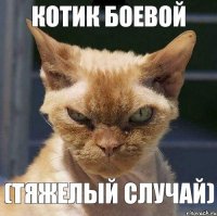 Котик боевой (тяжелый случай)