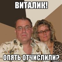 виталик! опять отчислили?