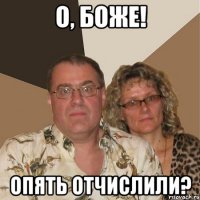 о, боже! опять отчислили?